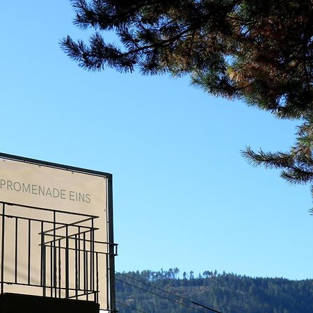 Top Five See & Bergblick - Haus Seepromenade Dobriach Exterior photo