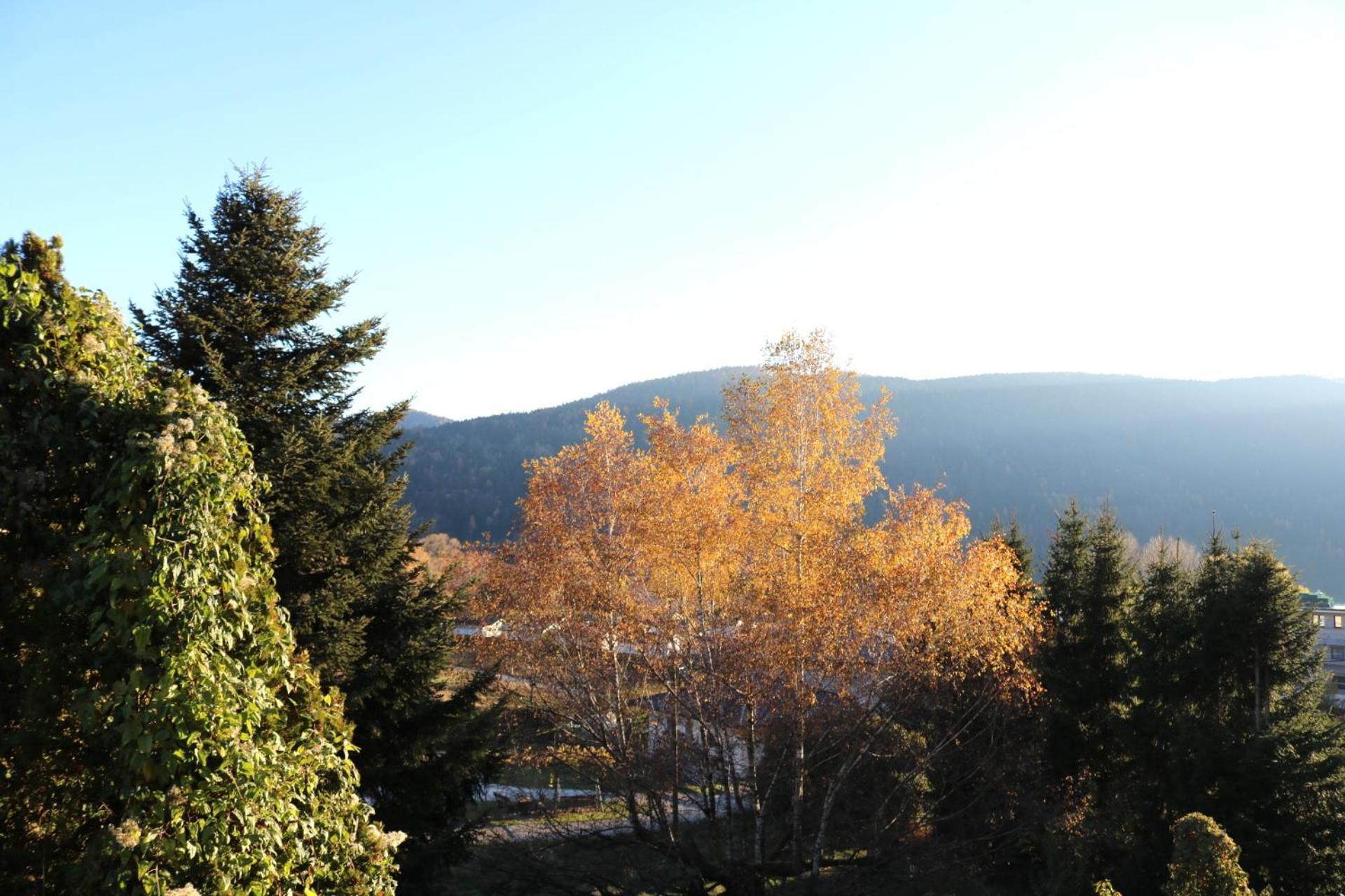Top Five See & Bergblick - Haus Seepromenade Dobriach Exterior photo